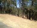 Landlubber Oak Shores